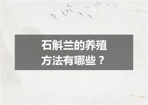 石斛兰的养殖方法有哪些?