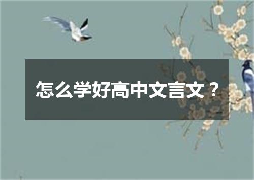 怎么学好高中文言文?