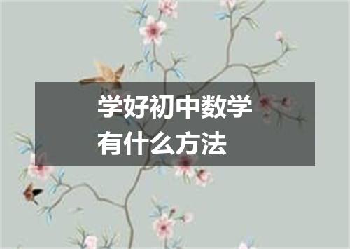 学好初中数学有什么方法