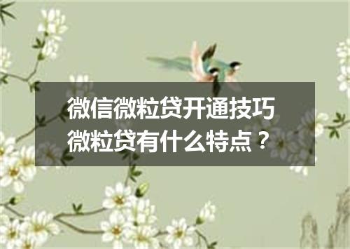 微信微粒贷开通技巧 微粒贷有什么特点？