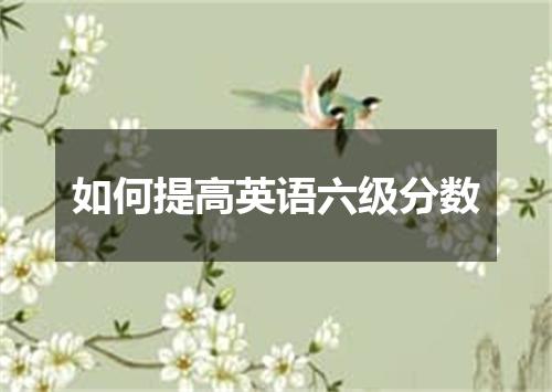 如何提高英语六级分数