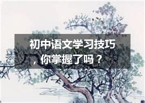 初中语文学习技巧，你掌握了吗？