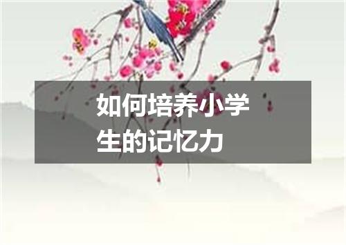 如何培养小学生的记忆力