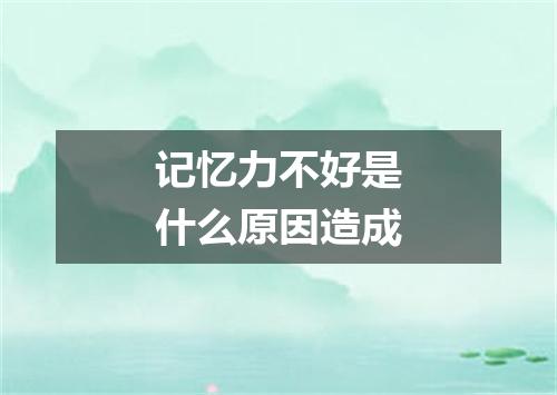 记忆力不好是什么原因造成