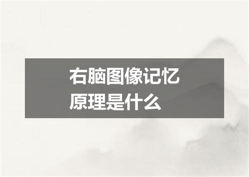 右脑图像记忆原理是什么