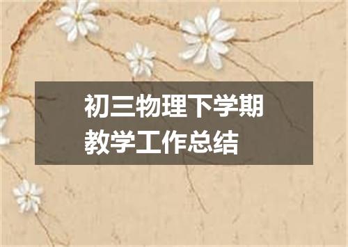 初三物理下学期教学工作总结