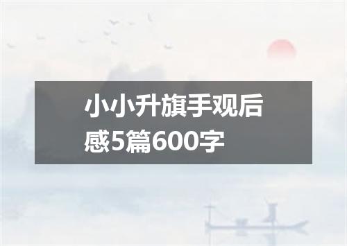 小小升旗手观后感5篇600字