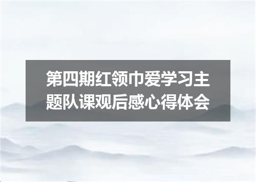 第四期红领巾爱学习主题队课观后感心得体会