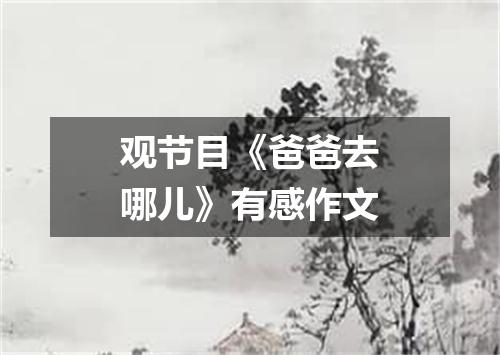 观节目《爸爸去哪儿》有感作文