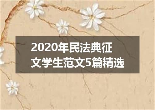 2020年民法典征文学生范文5篇精选