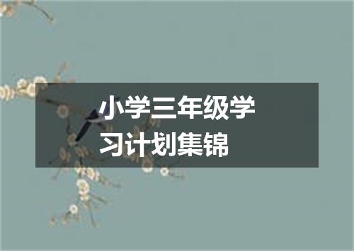 小学三年级学习计划集锦