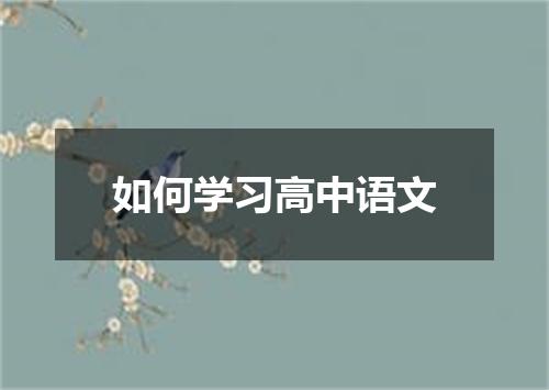 如何学习高中语文