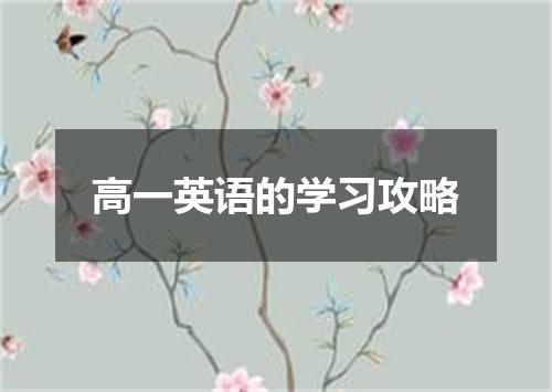 高一英语的学习攻略
