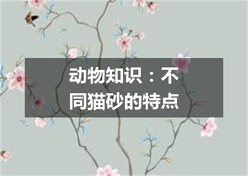 动物知识：不同猫砂的特点