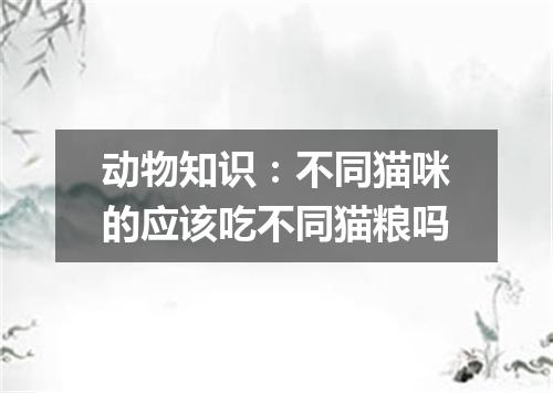 动物知识：不同猫咪的应该吃不同猫粮吗
