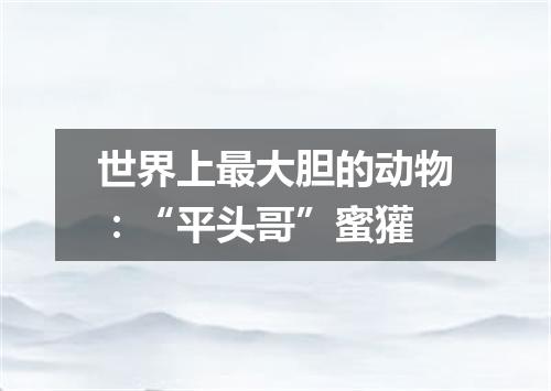 世界上最大胆的动物：“平头哥”蜜獾