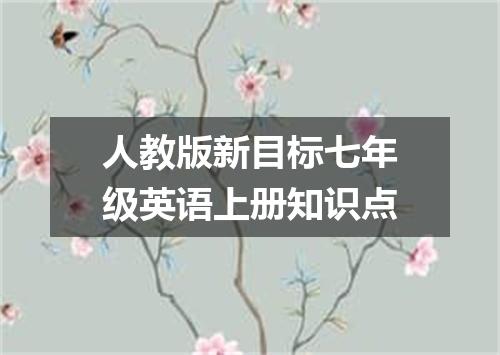 人教版新目标七年级英语上册知识点
