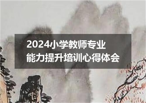 2024小学教师专业能力提升培训心得体会