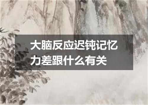 大脑反应迟钝记忆力差跟什么有关