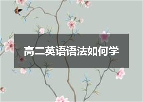 高二英语语法如何学