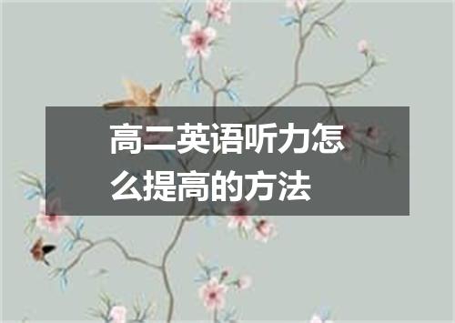 高二英语听力怎么提高的方法