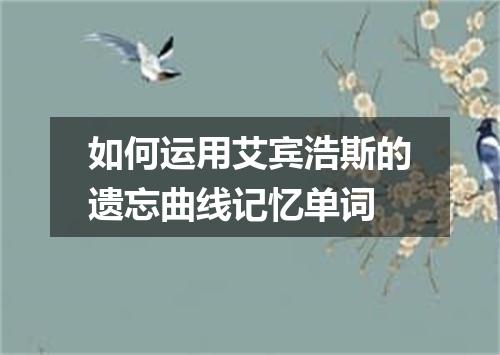 如何运用艾宾浩斯的遗忘曲线记忆单词