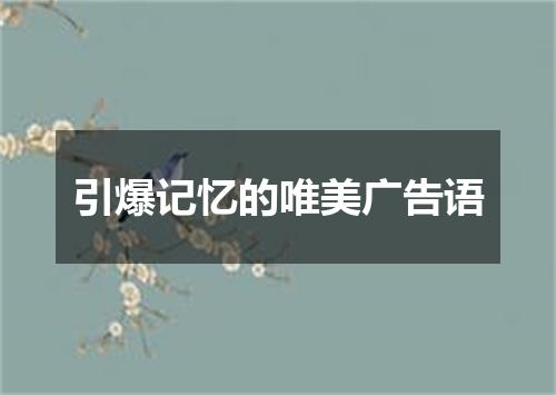 引爆记忆的唯美广告语