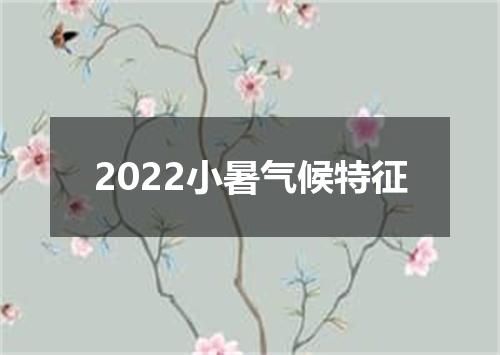 2022小暑气候特征
