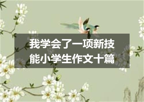 我学会了一项新技能小学生作文十篇