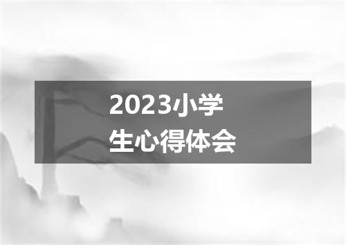 2023小学生心得体会