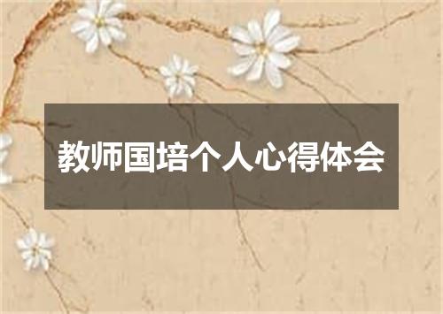 教师国培个人心得体会