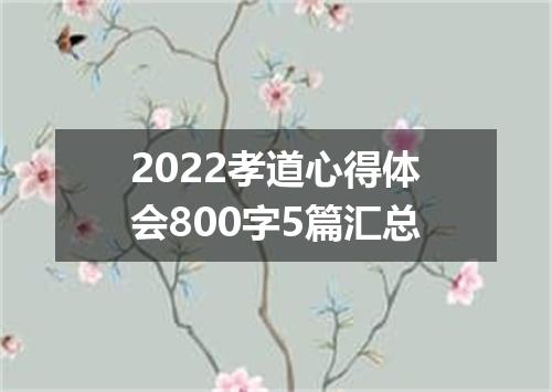 2022孝道心得体会800字5篇汇总