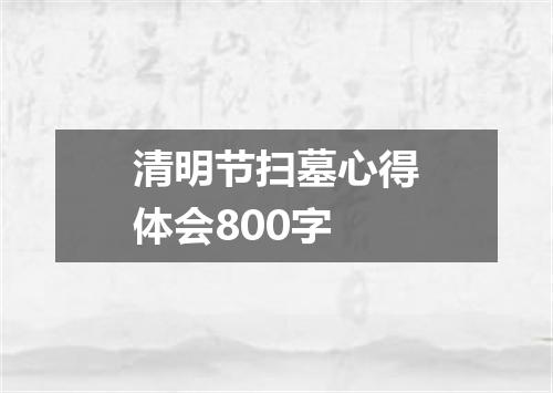 清明节扫墓心得体会800字