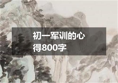 初一军训的心得800字