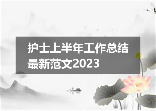 护士上半年工作总结最新范文2023