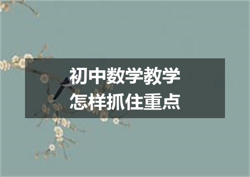 初中数学教学怎样抓住重点