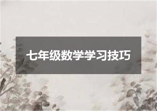 七年级数学学习技巧