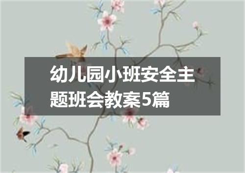幼儿园小班安全主题班会教案5篇