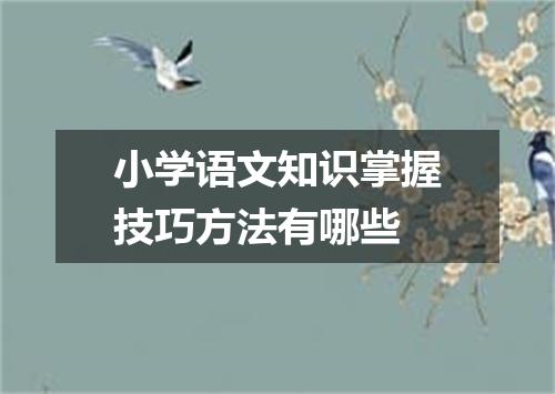 小学语文知识掌握技巧方法有哪些