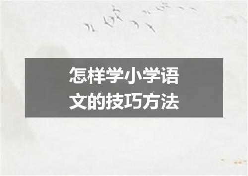 怎样学小学语文的技巧方法