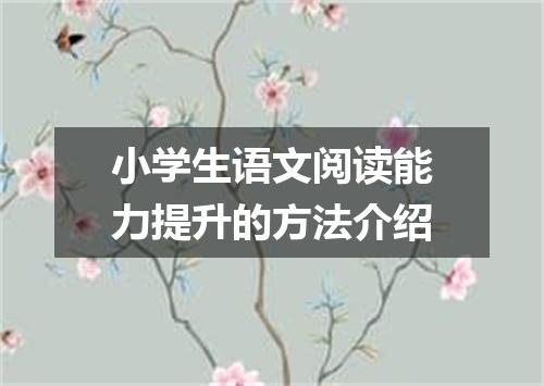 小学生语文阅读能力提升的方法介绍