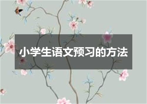 小学生语文预习的方法