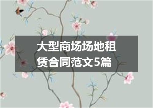 大型商场场地租赁合同范文5篇