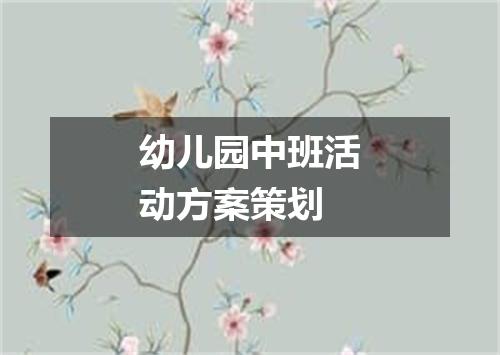 幼儿园中班活动方案策划