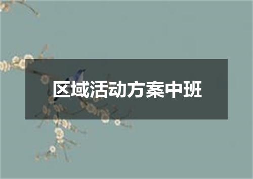 区域活动方案中班