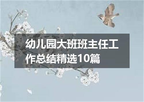 幼儿园大班班主任工作总结精选10篇