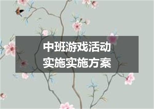 中班游戏活动实施实施方案