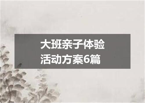 大班亲子体验活动方案6篇