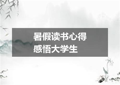 暑假读书心得感悟大学生