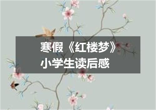 寒假《红楼梦》小学生读后感